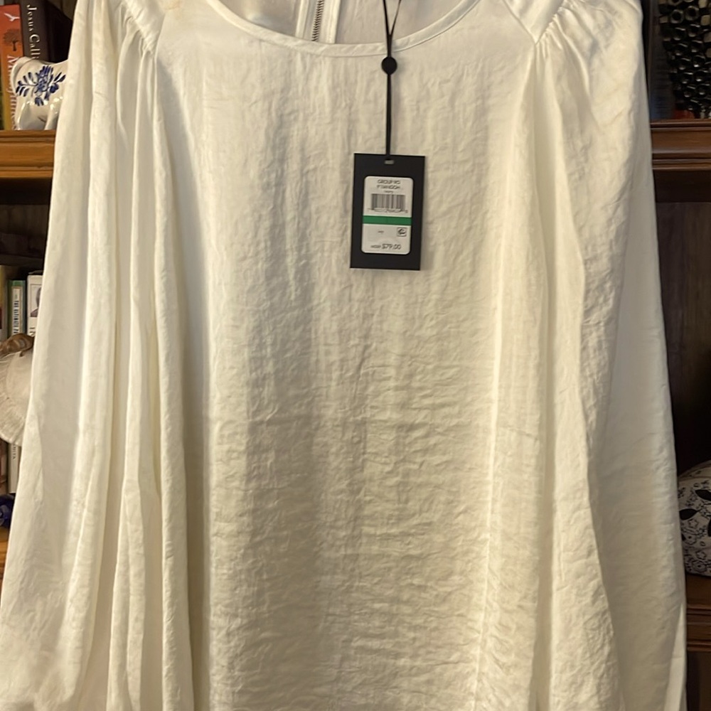 Brand new blouse, never has been worked